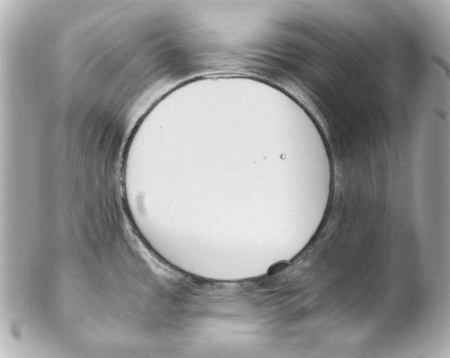 X0000102031485200808151328