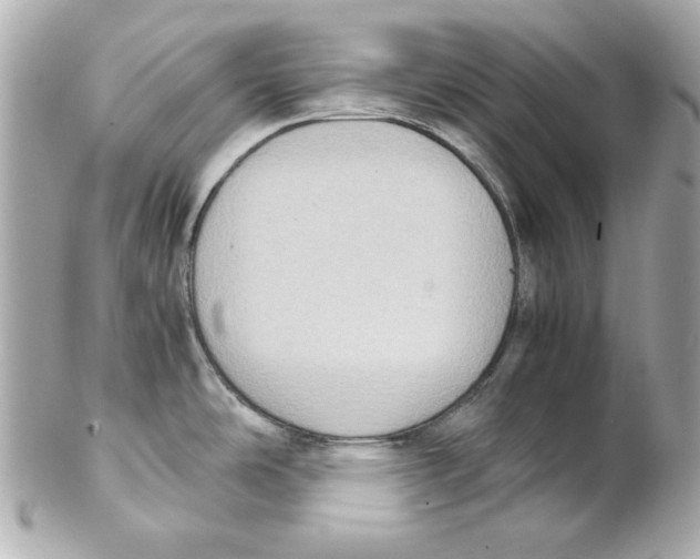 X0000102031486200808151328