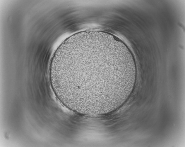 X0000102031488200808151328