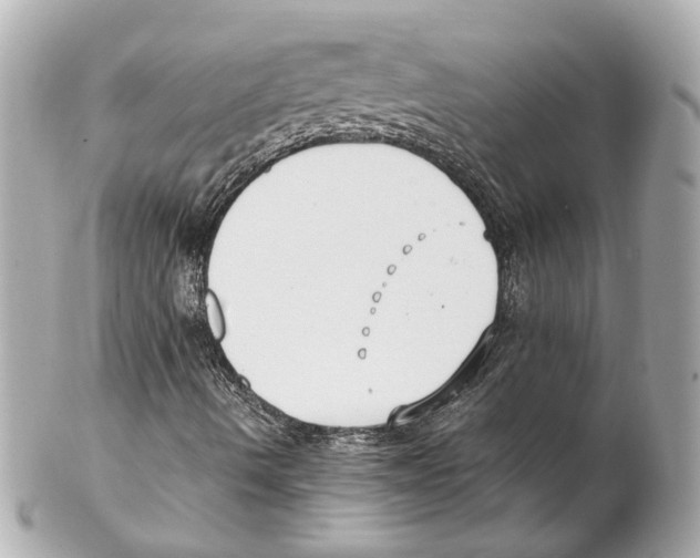 X0000102031490200808151327