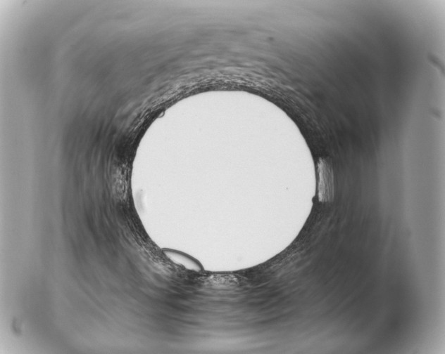 X0000102031491200808151327