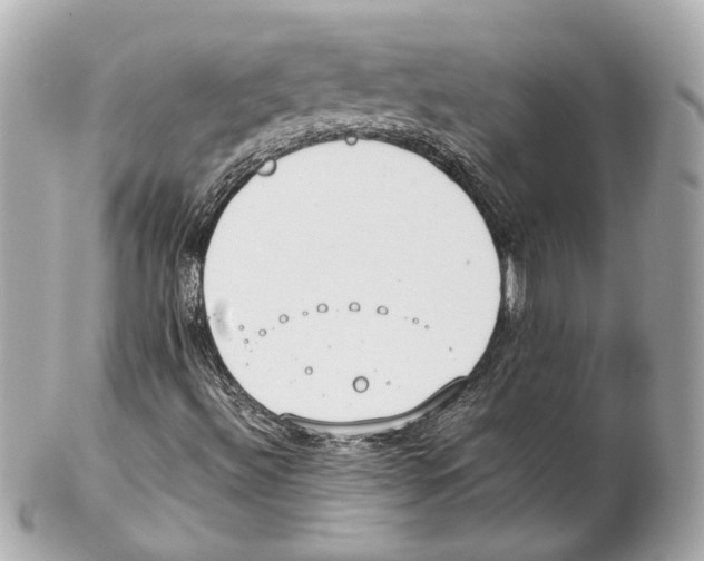 X0000102031492200808151327