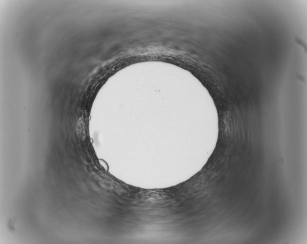 X0000102031493200808151327