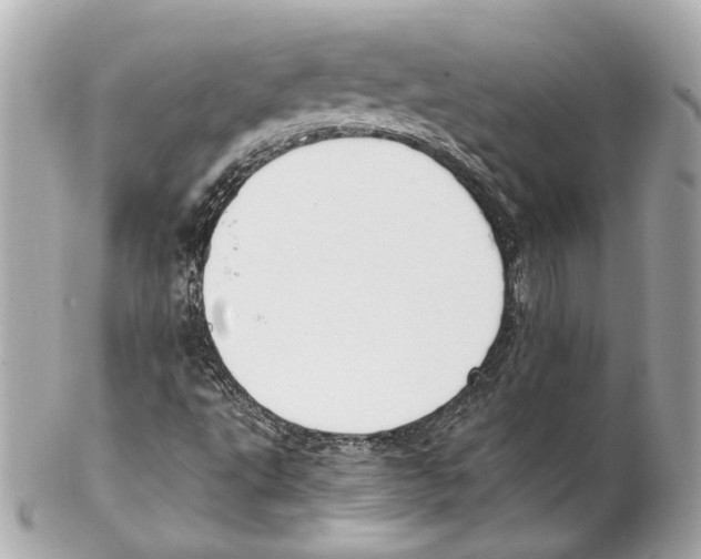 X0000102031495200808151327