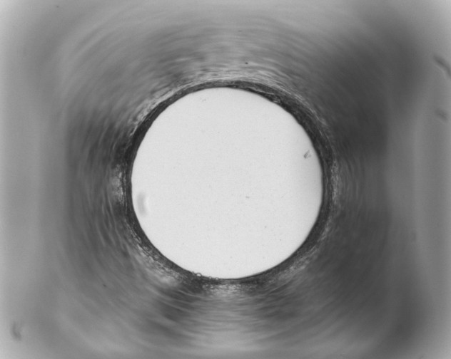 X0000102031497200808151327