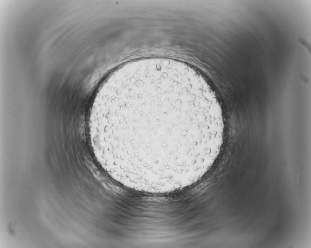 X0000102031499200808151327