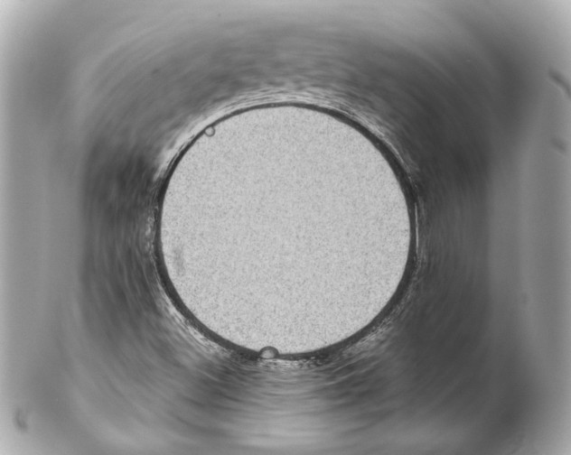 X0000102031500200808151327