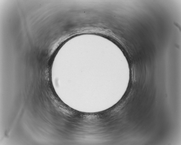 X0000102031501200808151327