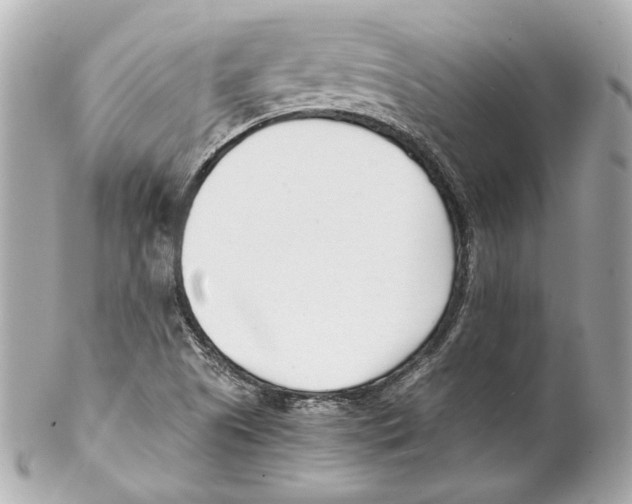 X0000102031505200808151328