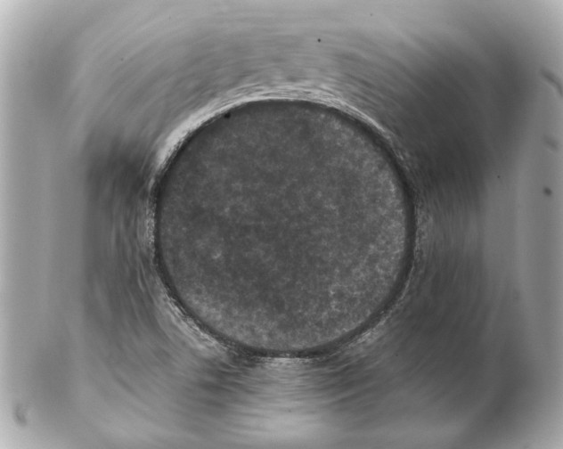 X0000102031506200808151328