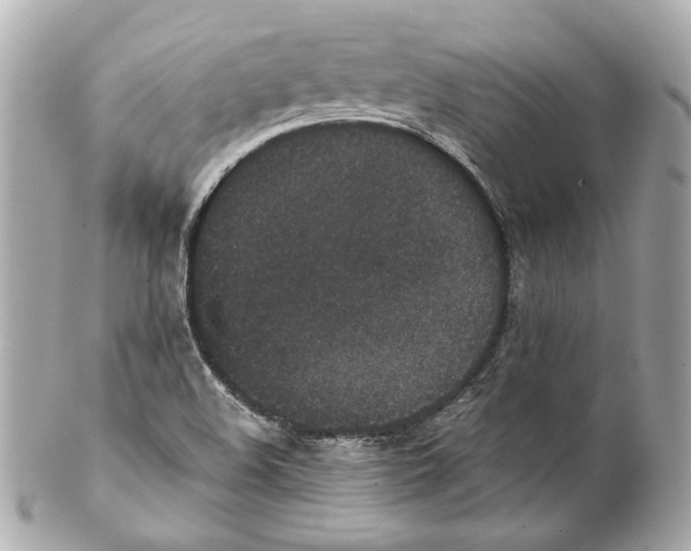 X0000102031508200808151328