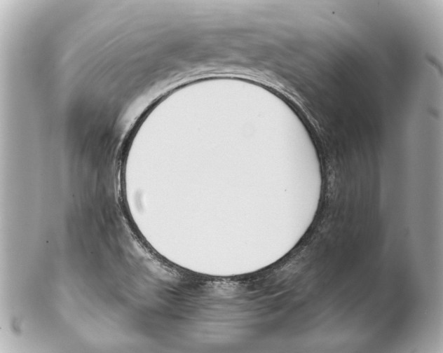 X0000102031511200808151328