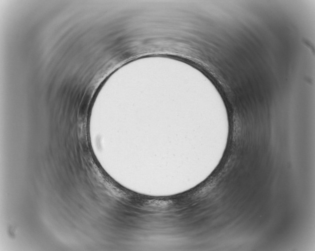 X0000102031513200808151328