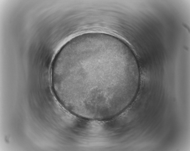 X0000102031514200808151328