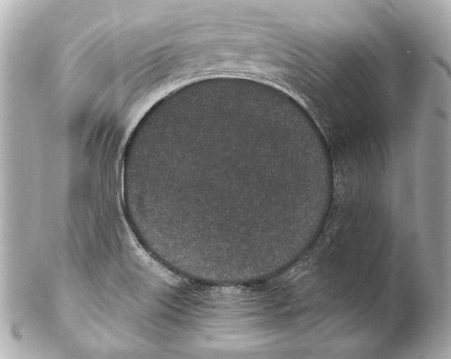 X0000102031515200808151328