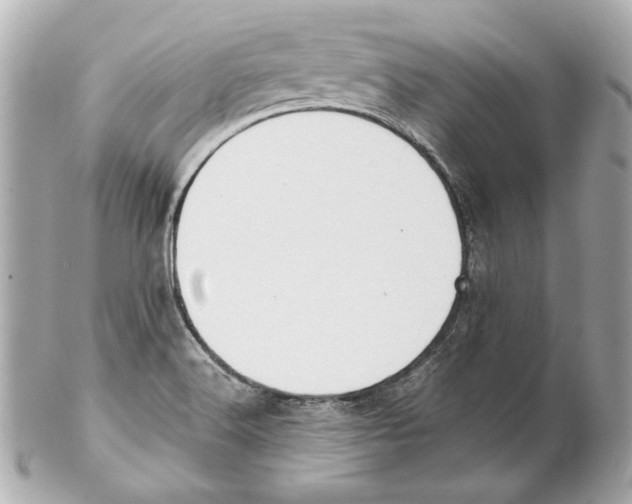 X0000102031516200808151328