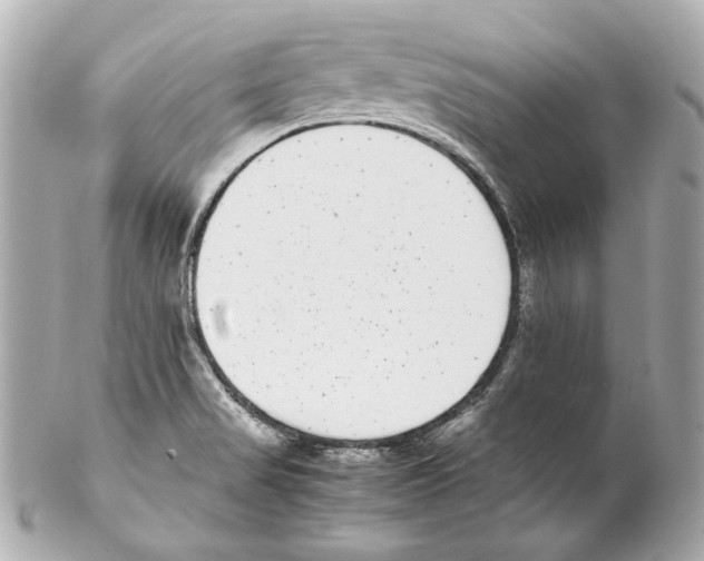 X0000102031517200808151328