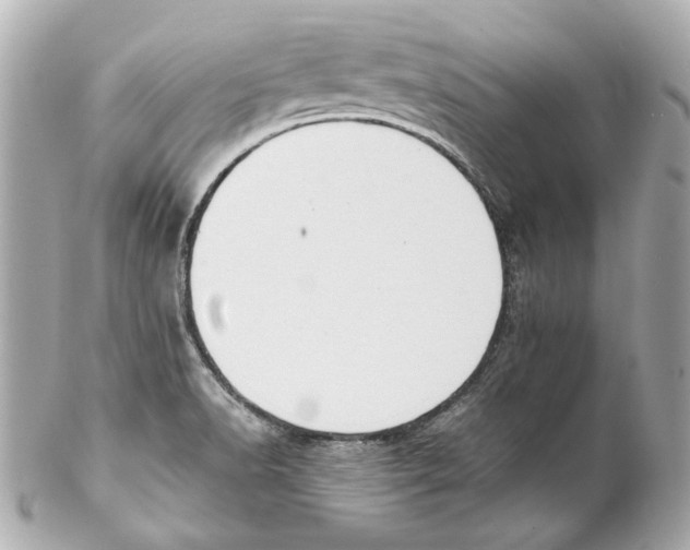 X0000102031518200808151328