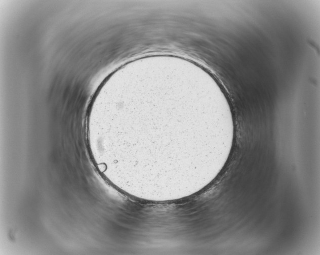 X0000102031519200808151328