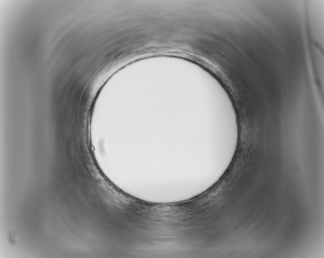 X0000102031520200808151328