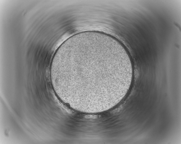 X0000102031521200808151328