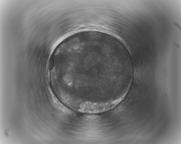 X0000102031522200808151328