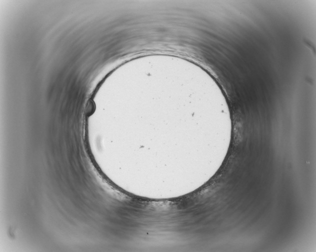 X0000102031523200808151328