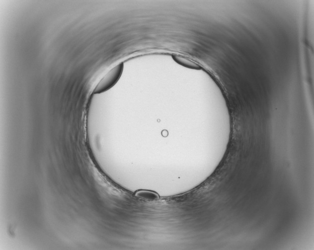 X0000102031524200808151328