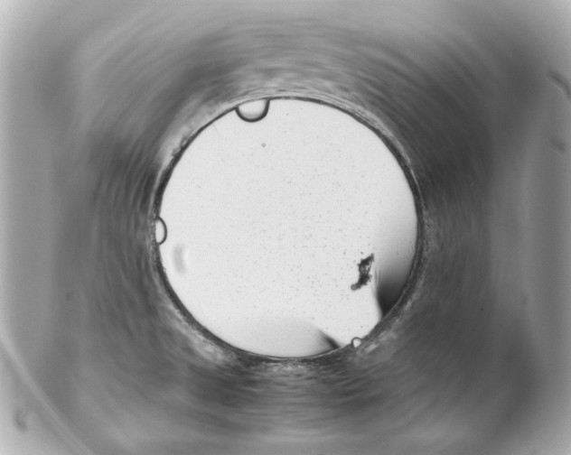 X0000102031525200808151328