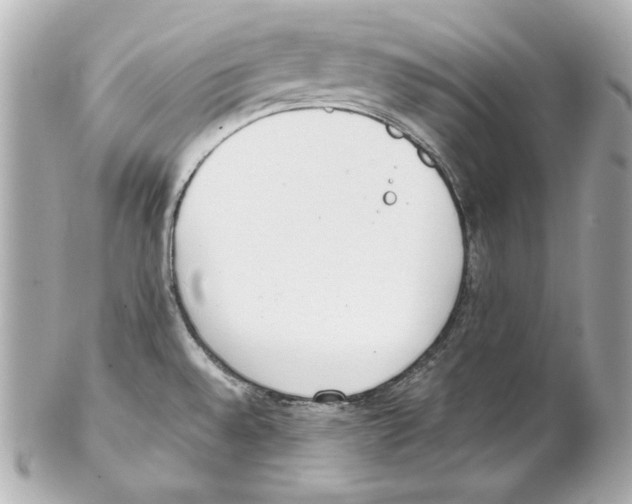 X0000102031528200808151328