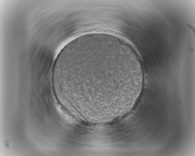 X0000102031530200808151328