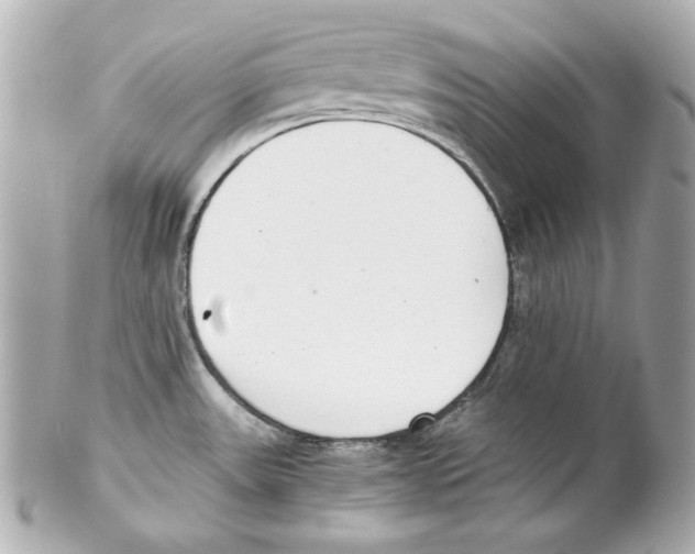 X0000102031531200808151328