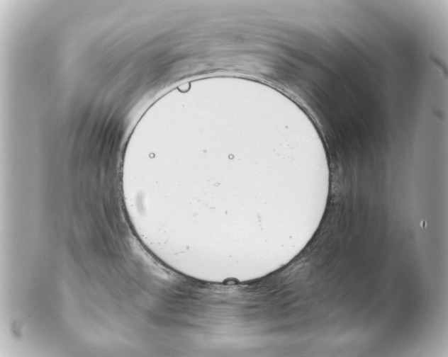 X0000102031532200808151328