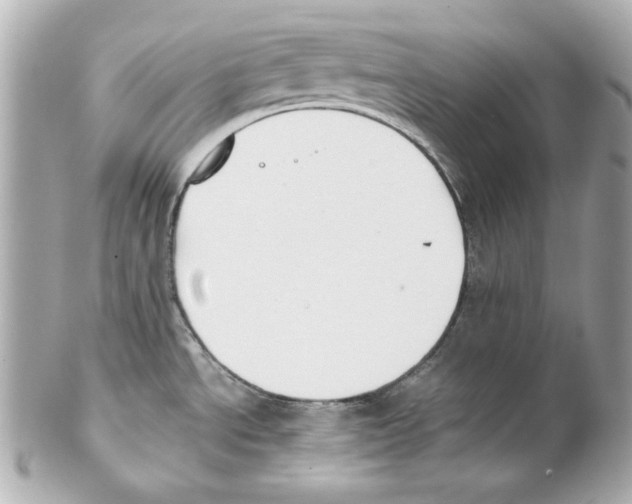 X0000102031534200808151328