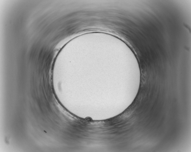 X0000102031535200808151328