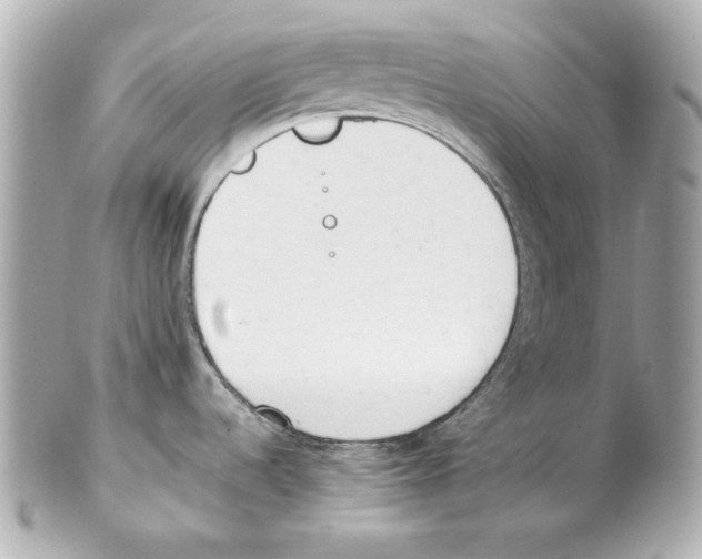 X0000102031536200808151328