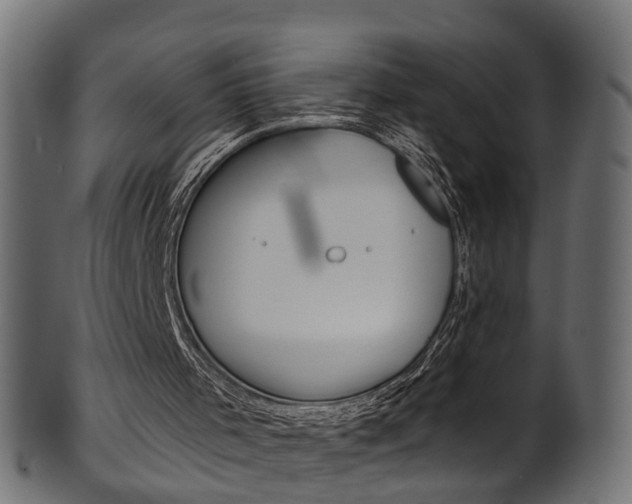 X0000102040001200807181041