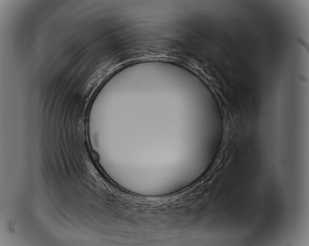 X0000102040002200807181041
