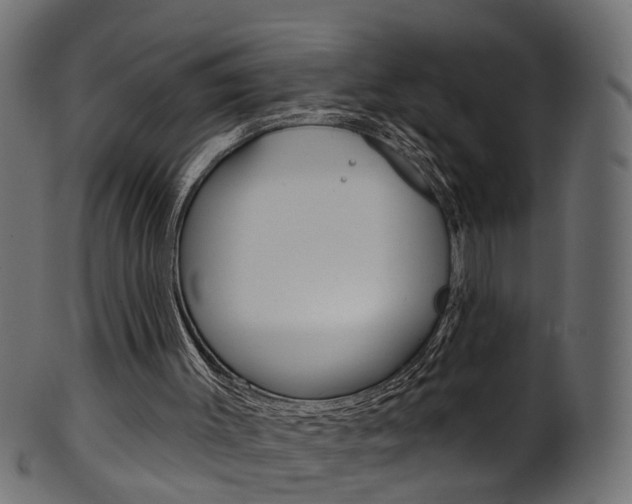 X0000102040003200807181041