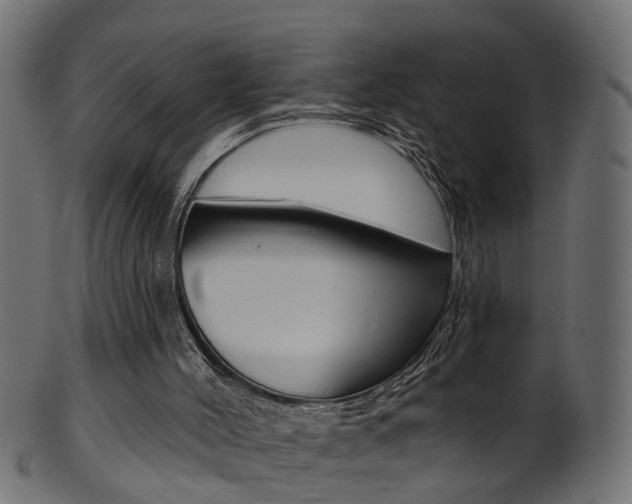 X0000102040004200807181041
