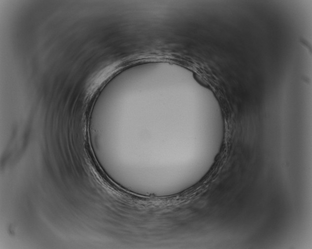 X0000102040005200807181041