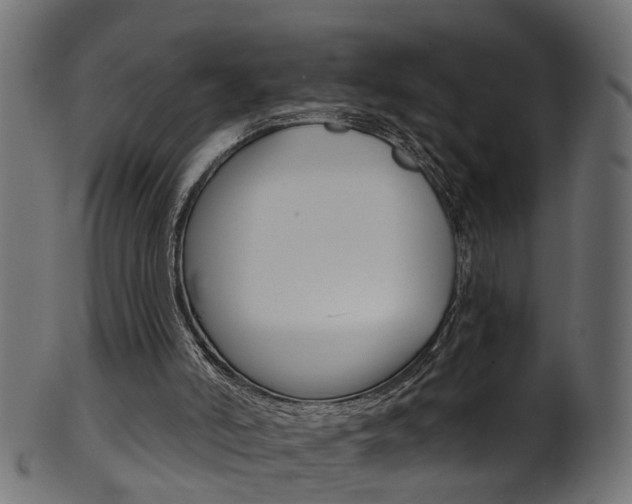 X0000102040006200807181041