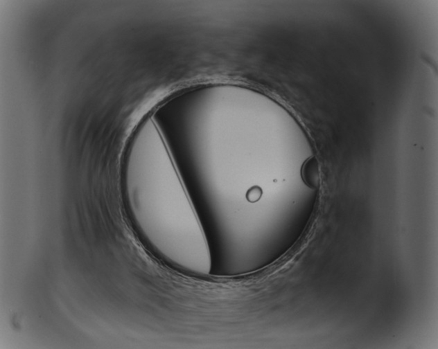 X0000102040008200807181041
