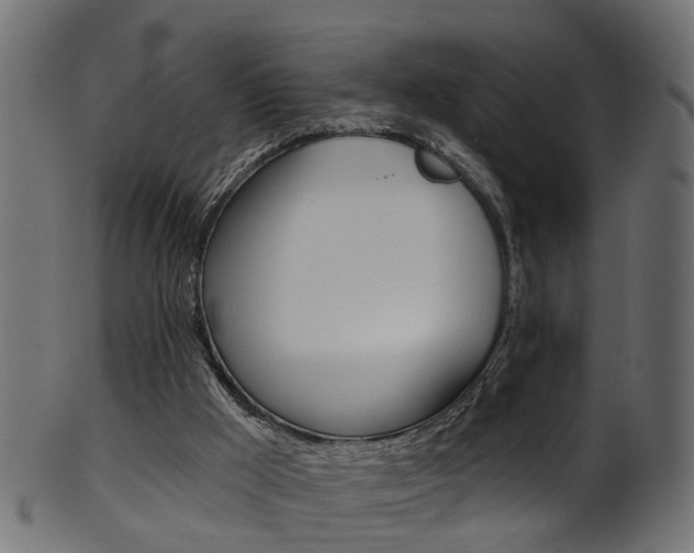 X0000102040009200807181041