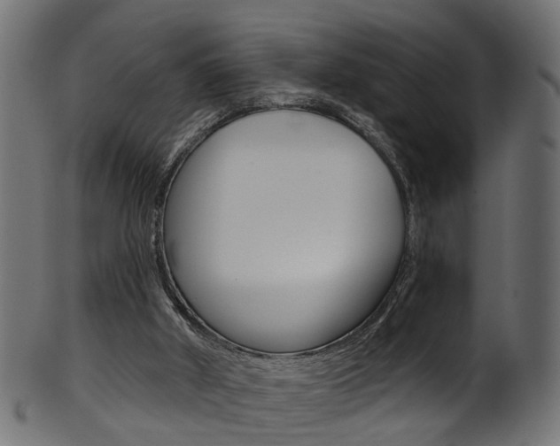 X0000102040010200807181041
