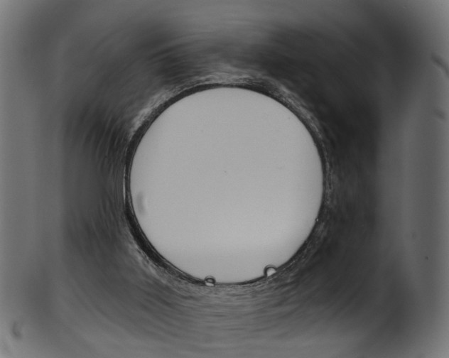 X0000102040011200807181041