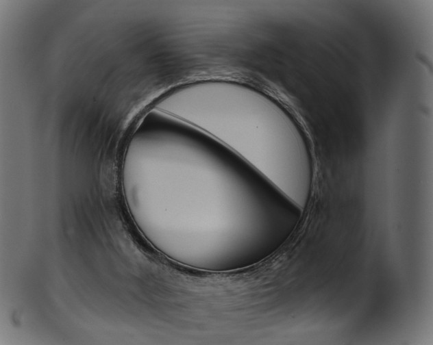 X0000102040012200807181041