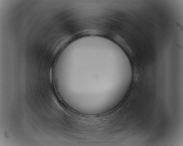 X0000102040014200807181041