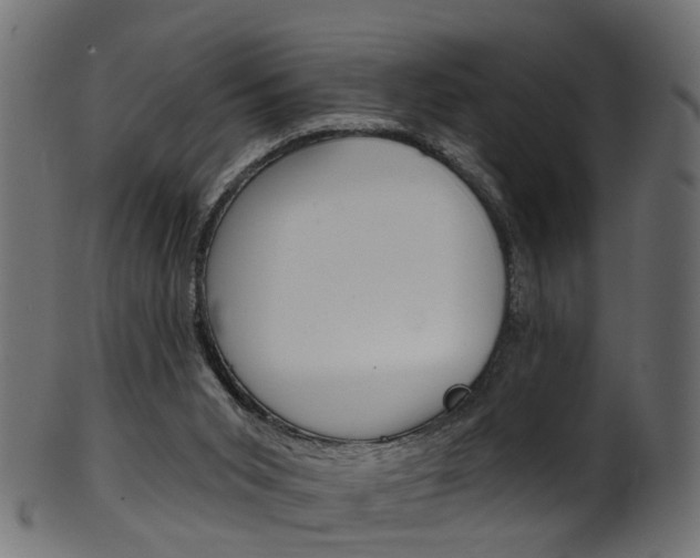 X0000102040015200807181041