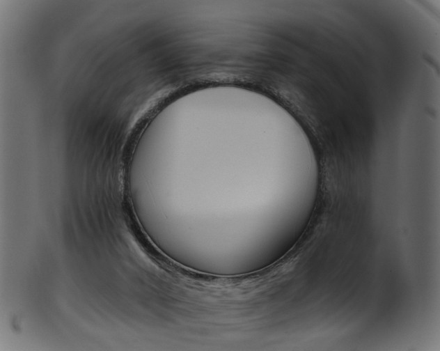 X0000102040016200807181041